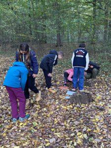 Kinder durchsuchen im Wald das Laub