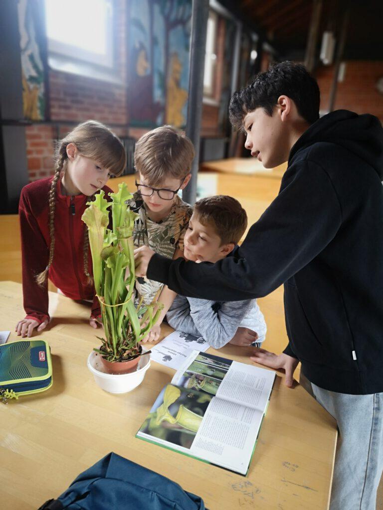 Jungs beim Basteln in der SChule