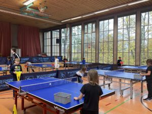 Tischtennis an den Platten