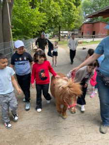Tiere mit Pony
