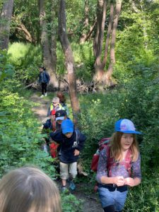 Wandern