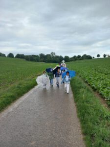 auf dem Weg zu den Bienen