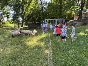 Kinder auf dem Spielplatz