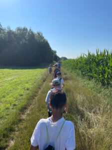 Wandern im Feld