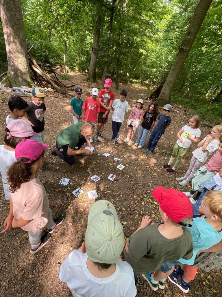 Gruppenspiel mit dem Förster im Wald