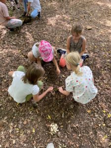 Kinder im WAld