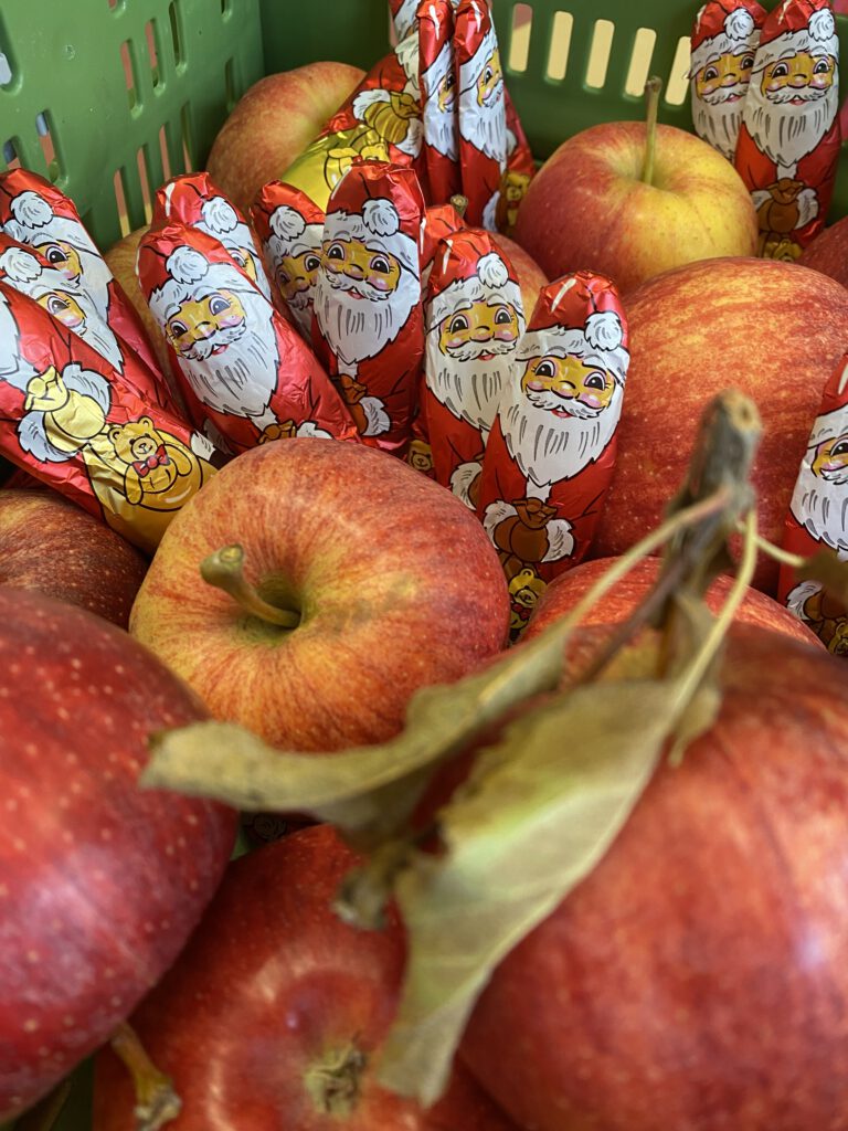 Äpfel und Schokonikoläuse