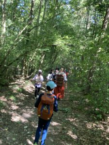 Wandern im Wald