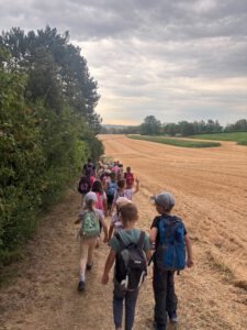 Wanderung in den Wald
