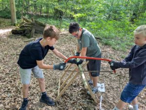 Kinder im WAld