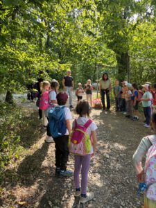 Wandern im WAld