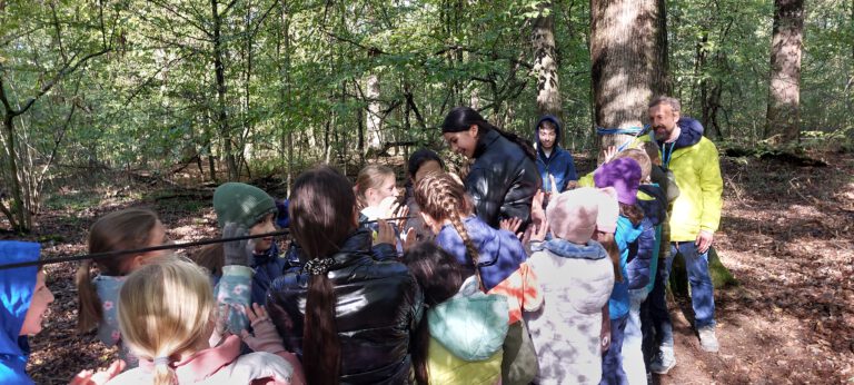BAu eines PArcours im Wald